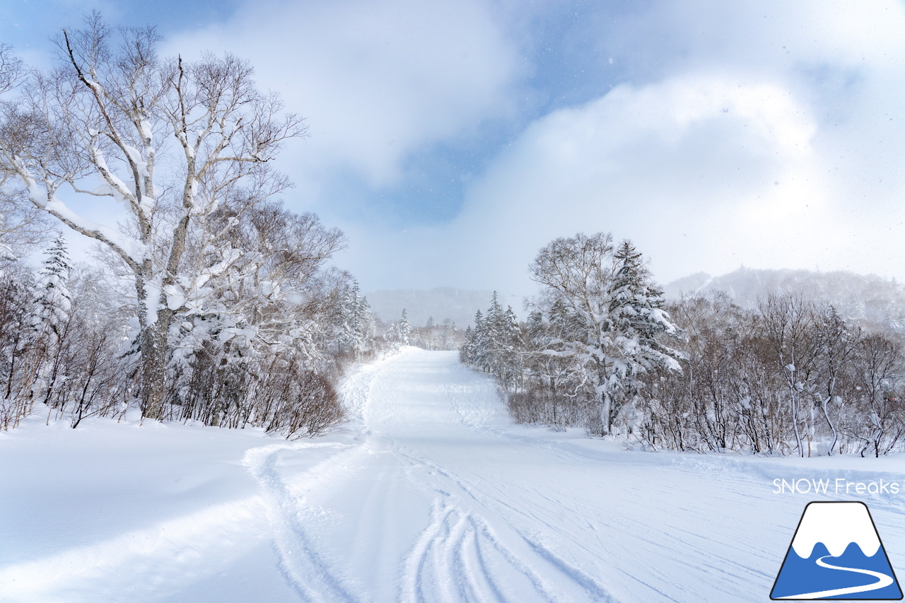 キロロリゾート｜寒さも、雪質も、最上級。キロロが誇る世界屈指のパウダースノーを楽しみましょう♪